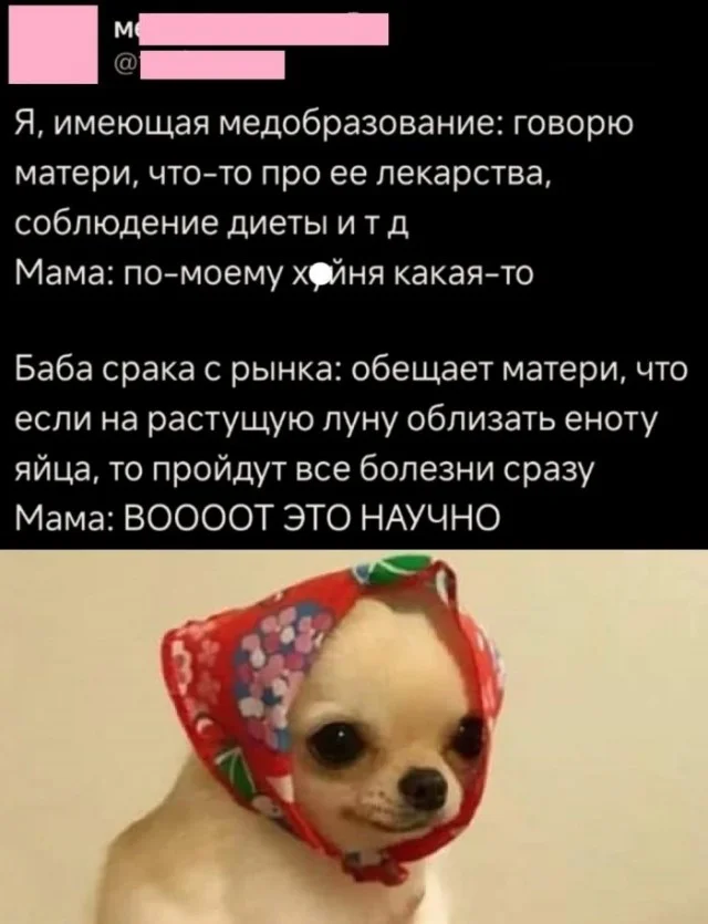 Деграднем с мемами