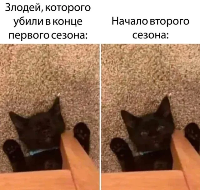 Деграднем в мемах