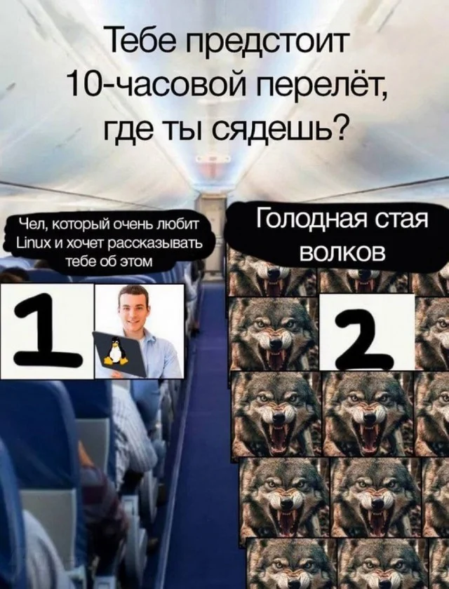 Деградация в баянах