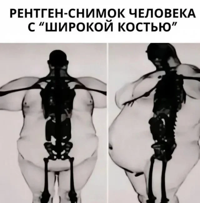 Обратная эволюция в мемах