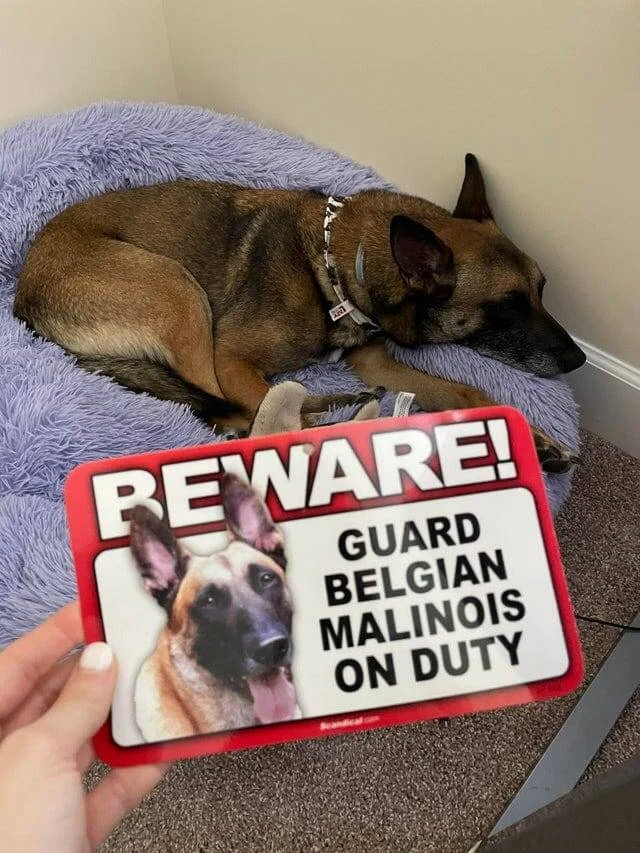 16 смешных ситуаций, когда таблички обещали одно, а происходило совсем другое 16 смешных ситуаций, когда таблички обещали одно, а происходило совсем другое