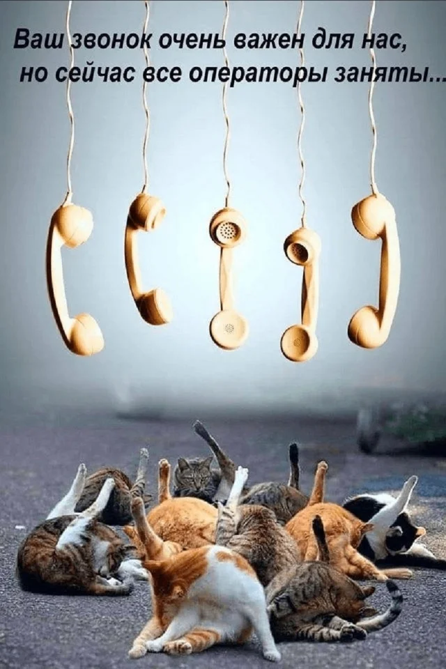 Свежие мемы подвезли