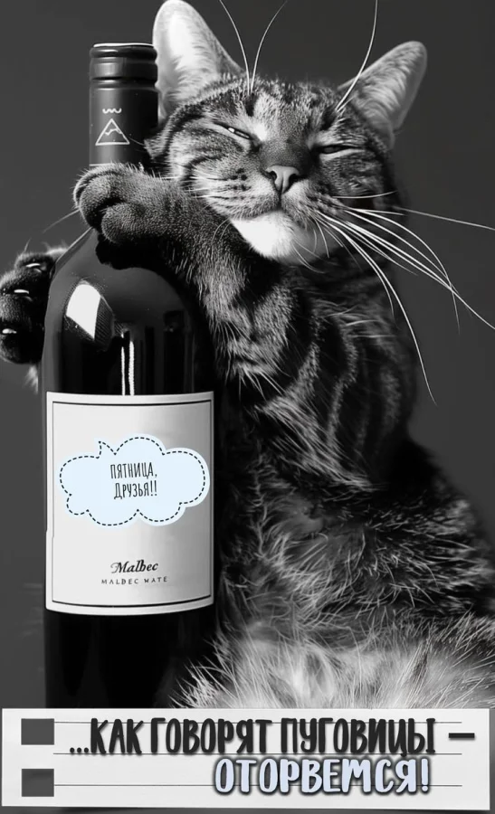 Прикольные и просто красивые картинки