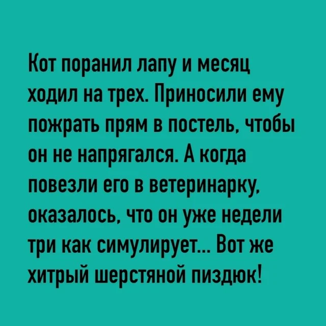 Кайфовые мемы