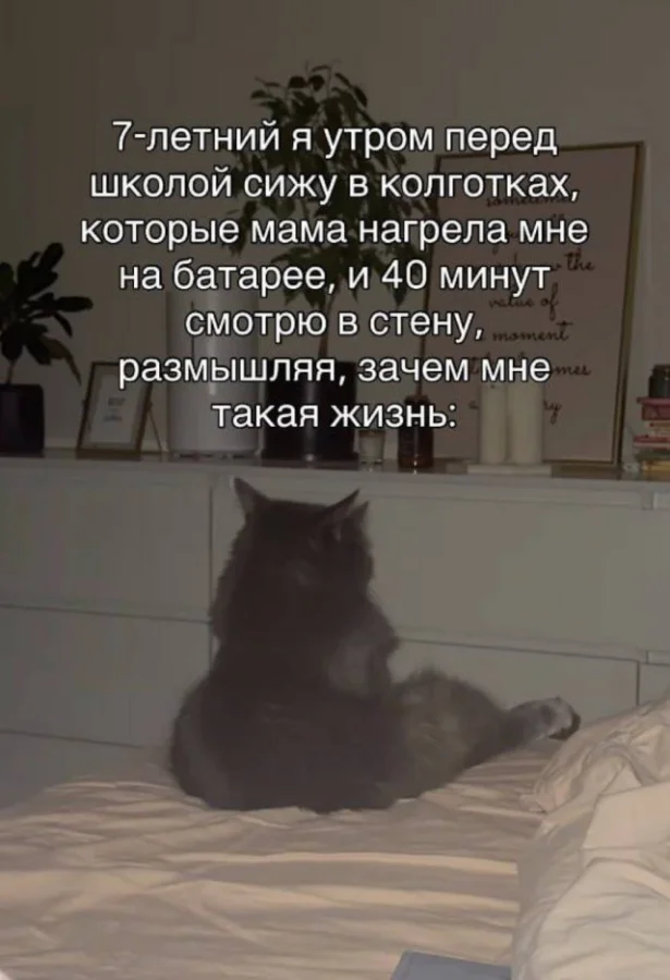 Легкая мемная деградация