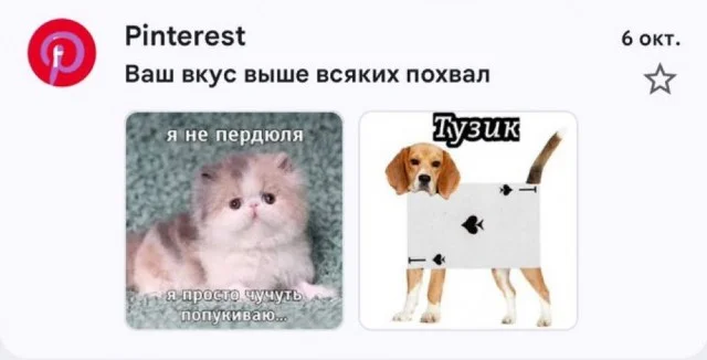 Деградация в баянах