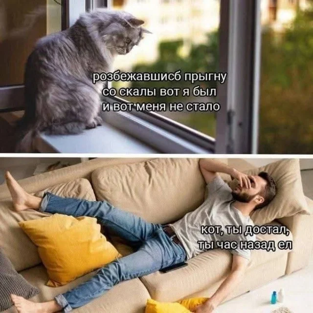 Мемы заказывали?