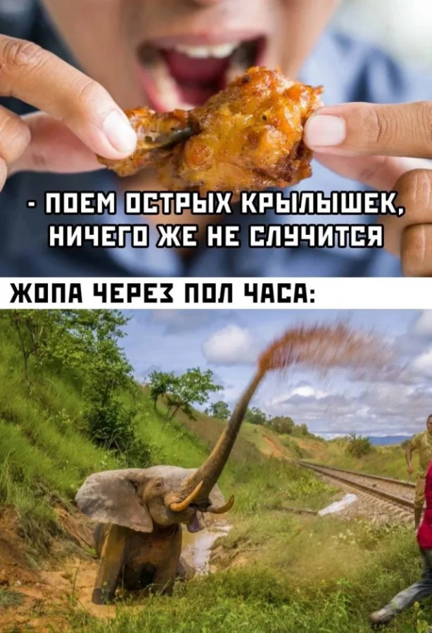 Деградация по полной! Мемы!