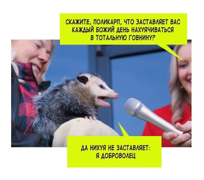 Пошлые мемы и чёрный юмор 18+ | Подборка #34 Пошлые мемы и чёрный юмор 18+ | Подборка #34