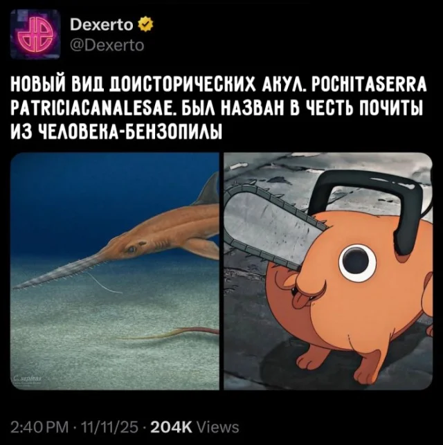 Деграднем с мемами