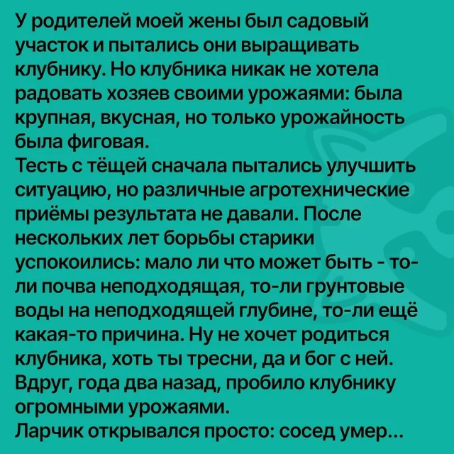 Типичные мемы