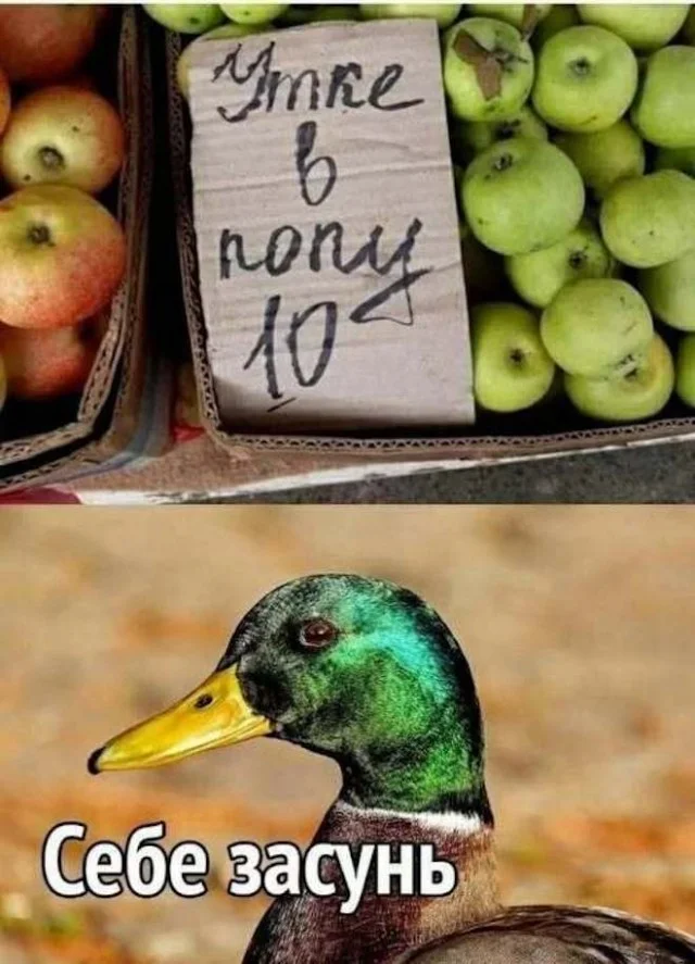 Мемо-деградация