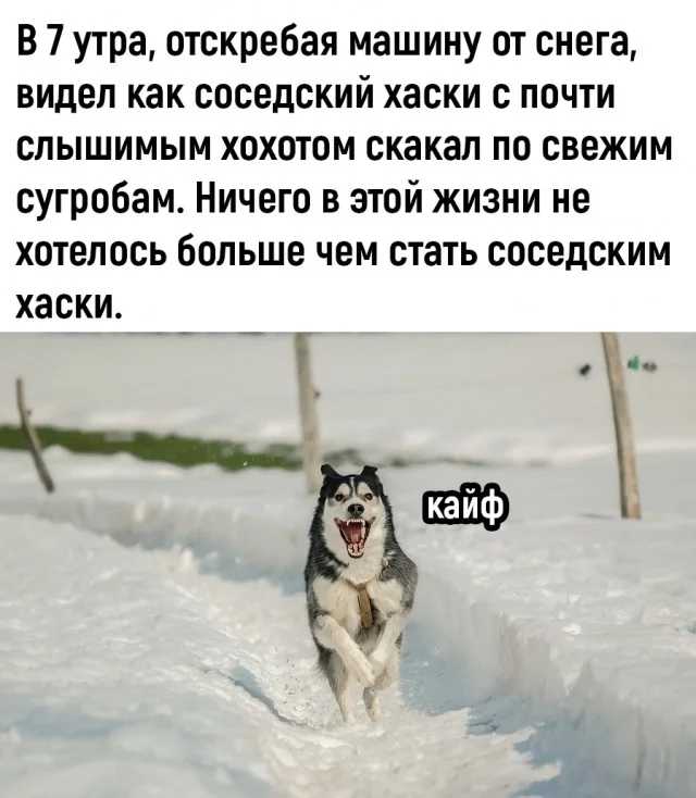 Начнем день с мемов