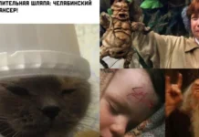 Мемы о Гарри Поттере, от которых даже Волан-де-Морт бы рассмеялся