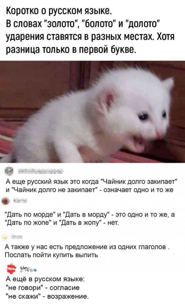 Свежая деградация в мемах