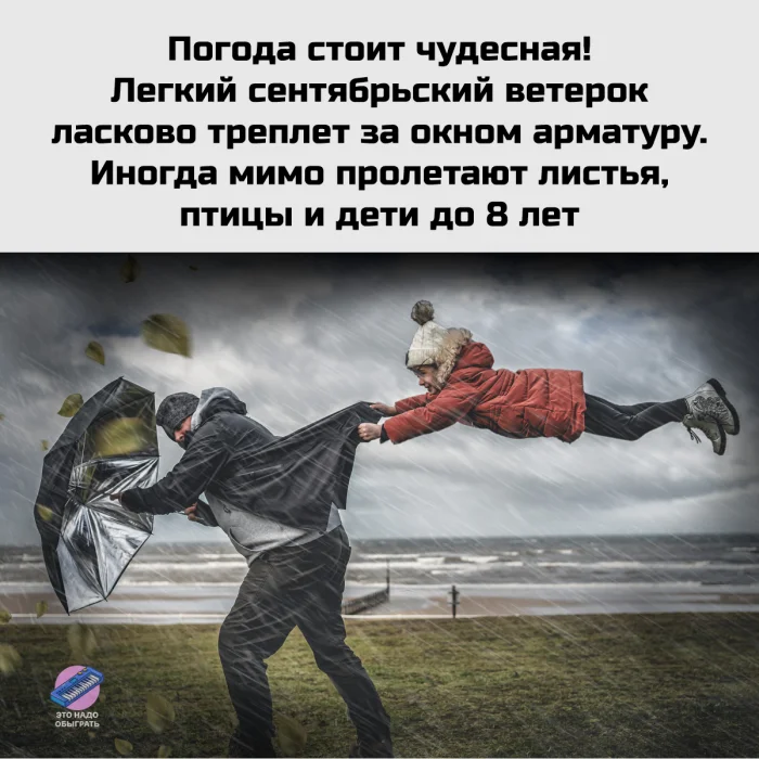 Осенний юмор: подборка шуток Осенний юмор: подборка шуток