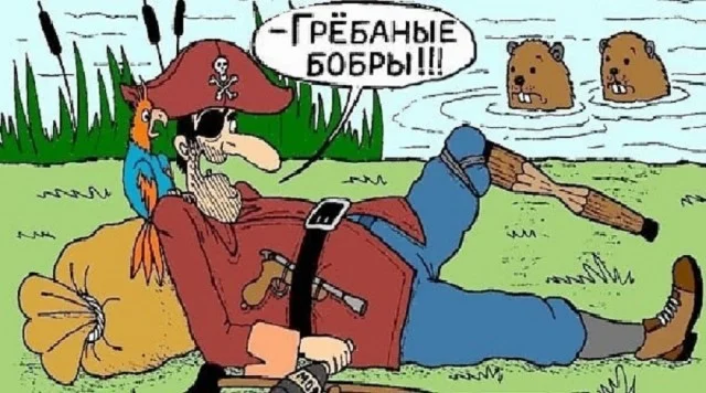 Обожаю мемы!