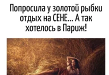 Игра слов – каламбуры, словесный юмор и прикольные картинки #134