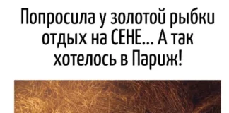 Игра слов – каламбуры, словесный юмор и прикольные картинки #134