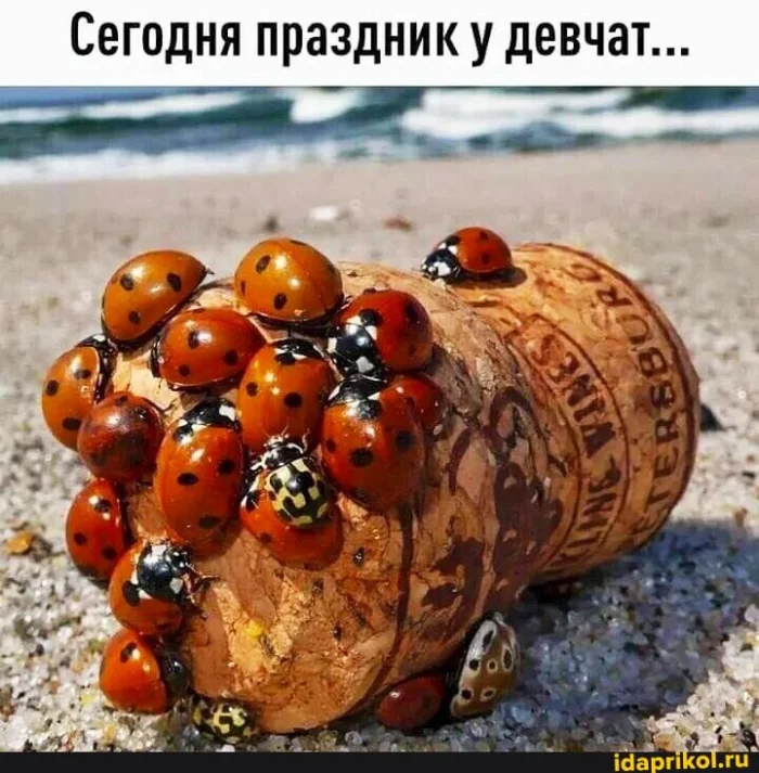 Прикольные и просто красивые картинки