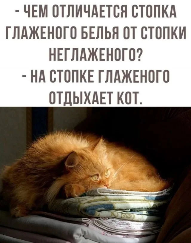 Свежие мемы подвезли