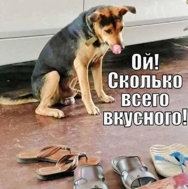 Мемы для настроения