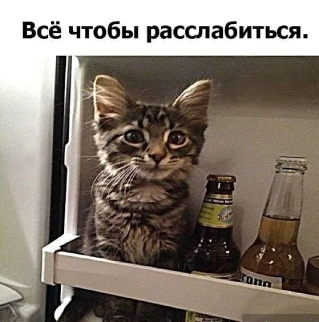 Держите мемы: смешно и весело