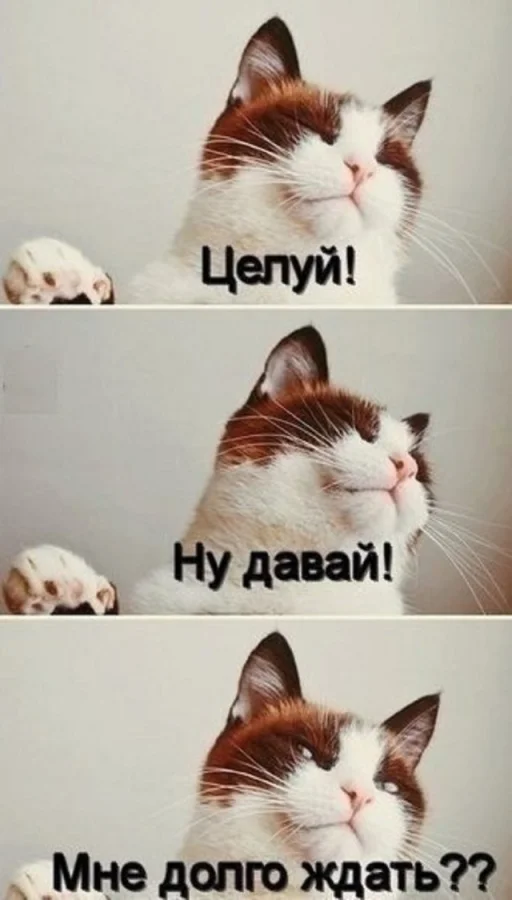 Супер свежие мемы