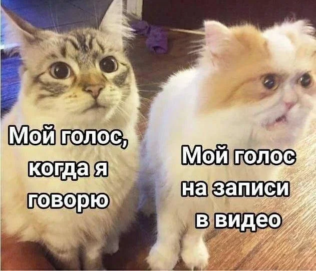 Деградация подъехала: Мемы