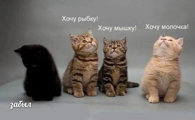 Мема-градия в баянах