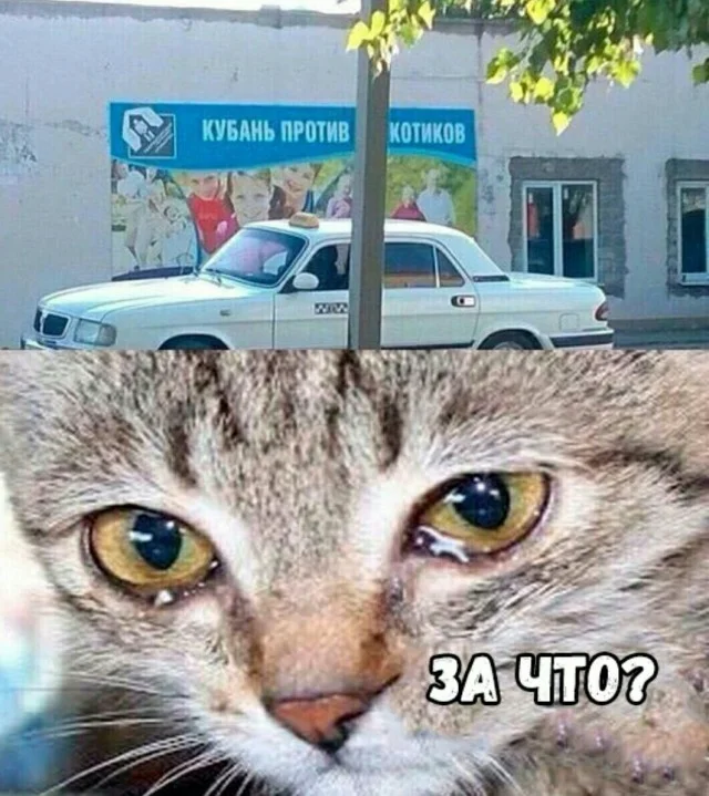 Начнем день с мемов