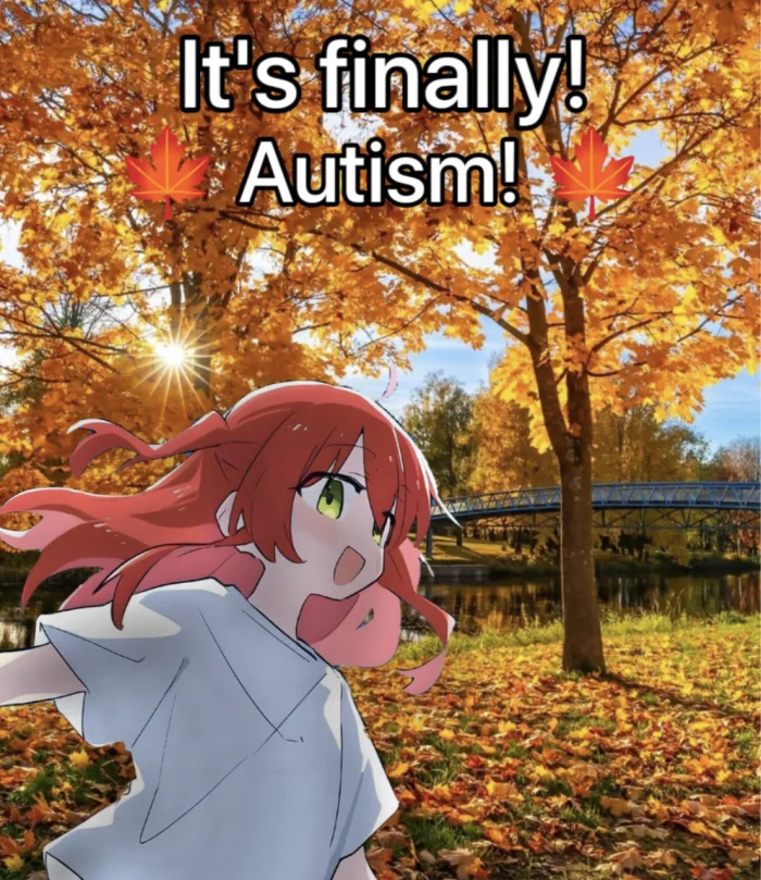 Смешные и абсурдные аниме-мемы