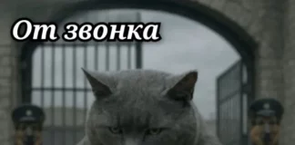 Держите мемы: смешно и весело