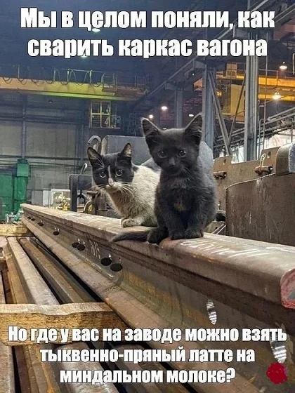 Юмор в мемах