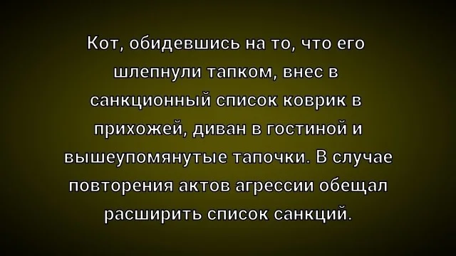 Обожаю мемы!