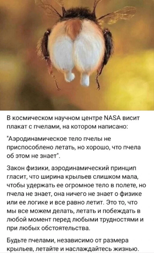 Мемы для настроения