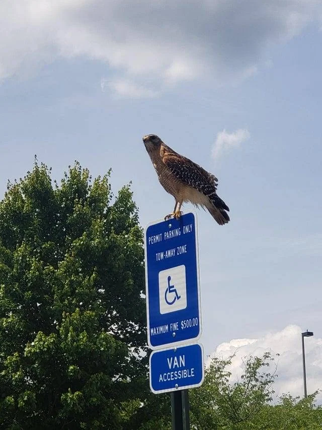 16 смешных ситуаций, когда таблички обещали одно, а происходило совсем другое 16 смешных ситуаций, когда таблички обещали одно, а происходило совсем другое