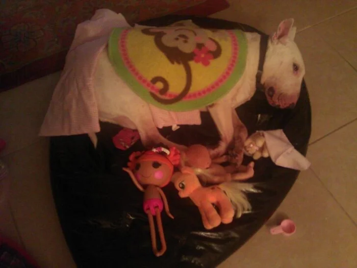 16 примеров того, что жизнь с детьми и питомцами превращается в бесконечное приключение 16 примеров того, что жизнь с детьми и питомцами превращается в бесконечное приключение