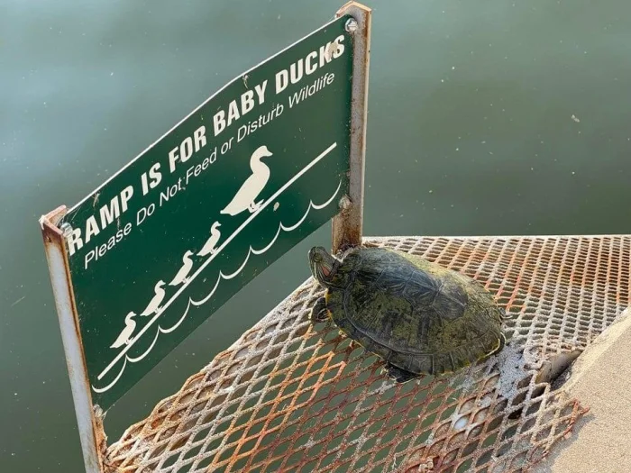 16 смешных ситуаций, когда таблички обещали одно, а происходило совсем другое 16 смешных ситуаций, когда таблички обещали одно, а происходило совсем другое