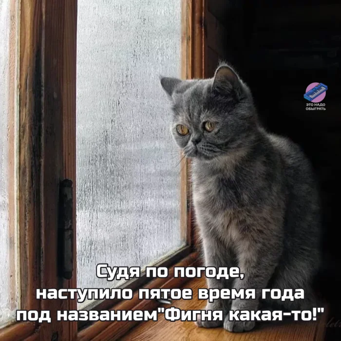 Осенний юмор: подборка шуток Осенний юмор: подборка шуток