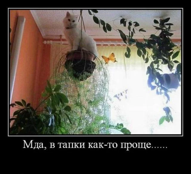 Деградация подъехала: Мемы