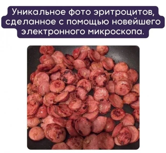 Юмор по теме колбасы