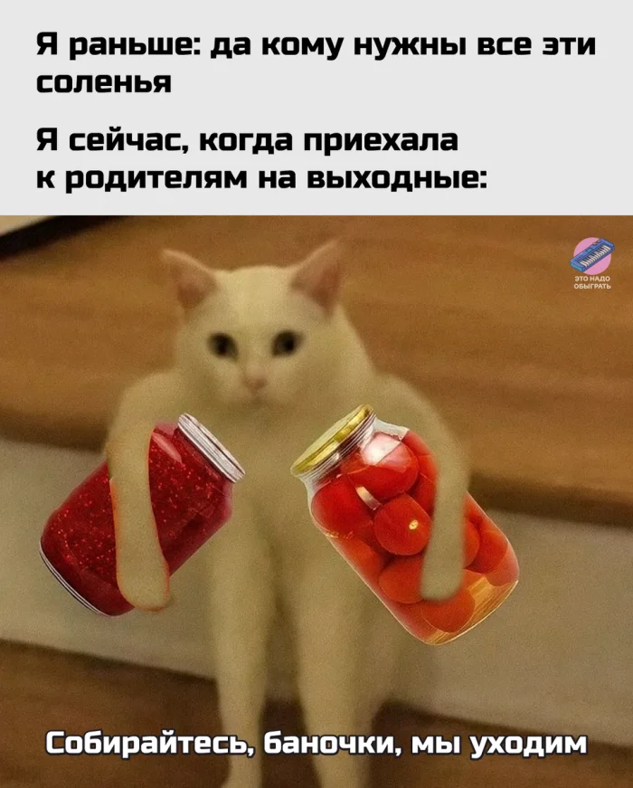 Юмор про мам, бабушек и дом: подборка, в которой узнает себя каждый Юмор про мам, бабушек и дом: подборка, в которой узнает себя каждый