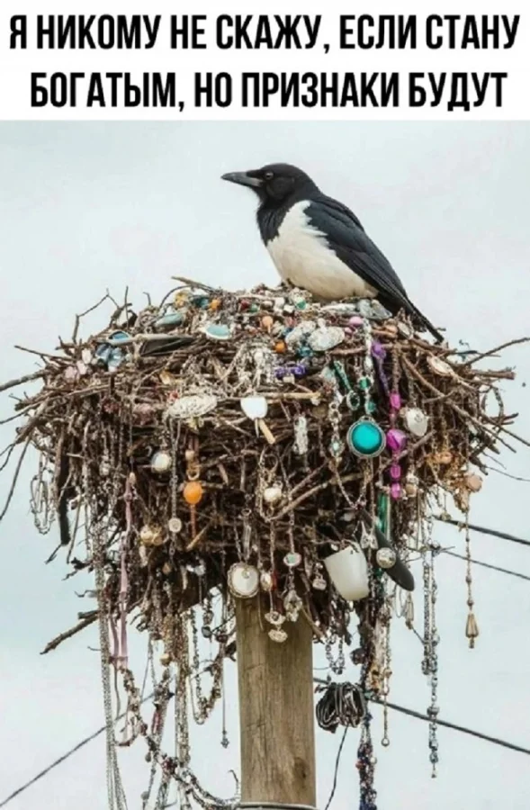 Заходи, погляди мемы!