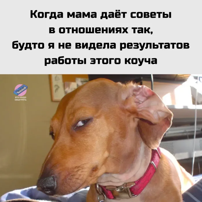 Юмор про мам, бабушек и дом: подборка, в которой узнает себя каждый Юмор про мам, бабушек и дом: подборка, в которой узнает себя каждый