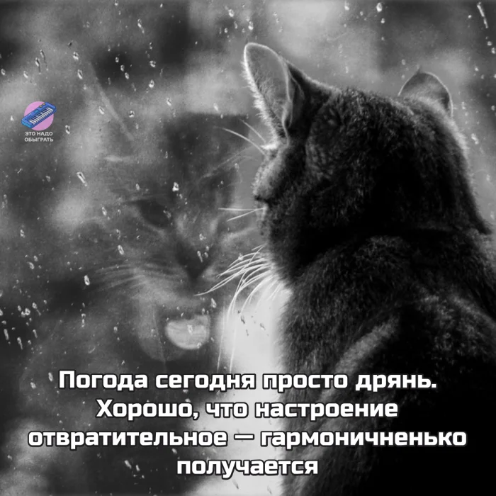 Осенний юмор: подборка шуток Осенний юмор: подборка шуток