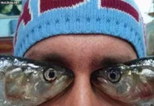 Юмор. Наверное.