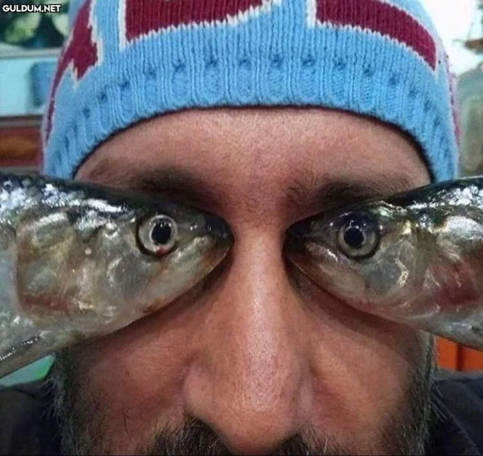 Юмор. Наверное.