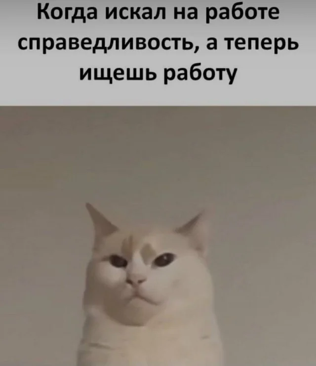 Деградация в баянах