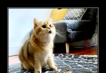 Свежая порция демотиваторов — иронично, жизненно и с сарказмом